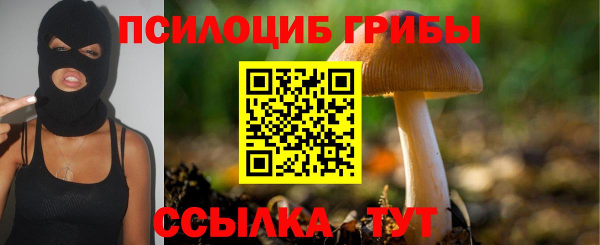 Псилоцибиновые грибы ЛСД  Галлюциногенные грибы ЛСД  Назрань  Вход с VPN 