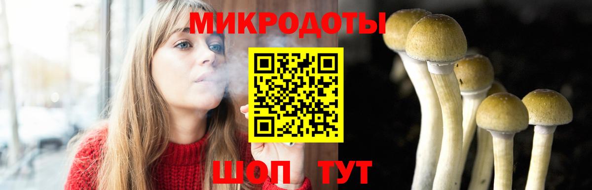 Псилоцибиновые грибы GOLDEN TEACHER Назрань